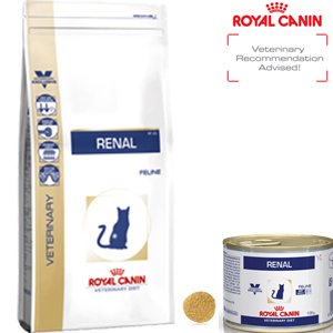 Royal-Ct-Feline