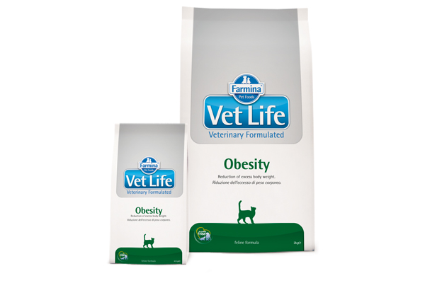 Vet-Life-Obesity-Cat-
